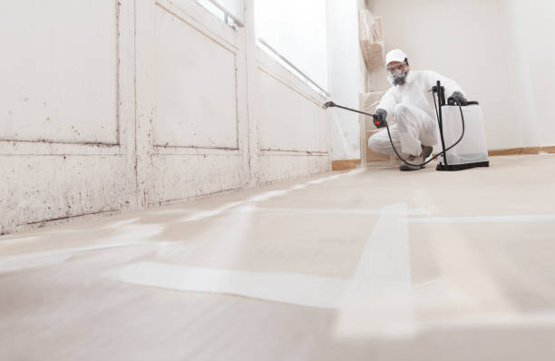24/7 Emergency Basement Mold Remediation experts in Marshall, VA